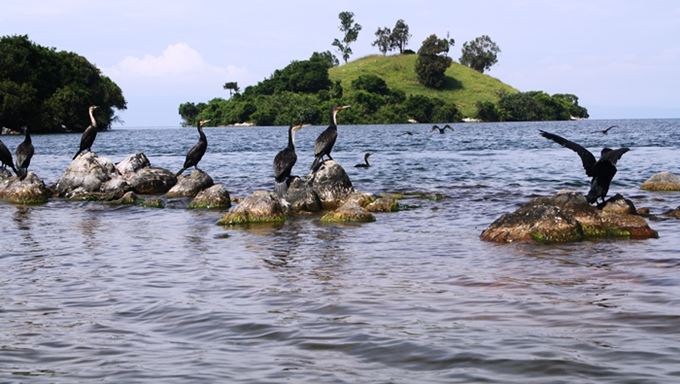Top Tourist Sites in Congo