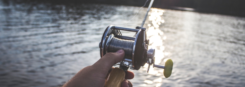 1 Day Congo Safari Tour to Bombo-Lumene National Park, Trekking and Tiger Fishing