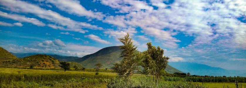 9 Days Uganda Gorilla Trekking & Wild Game Viewing Safari