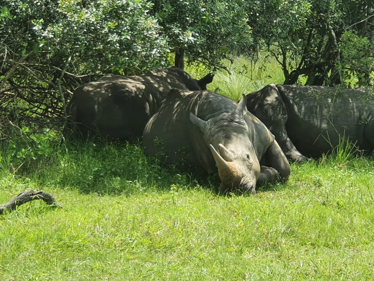 Adventure Safaris in Uganda